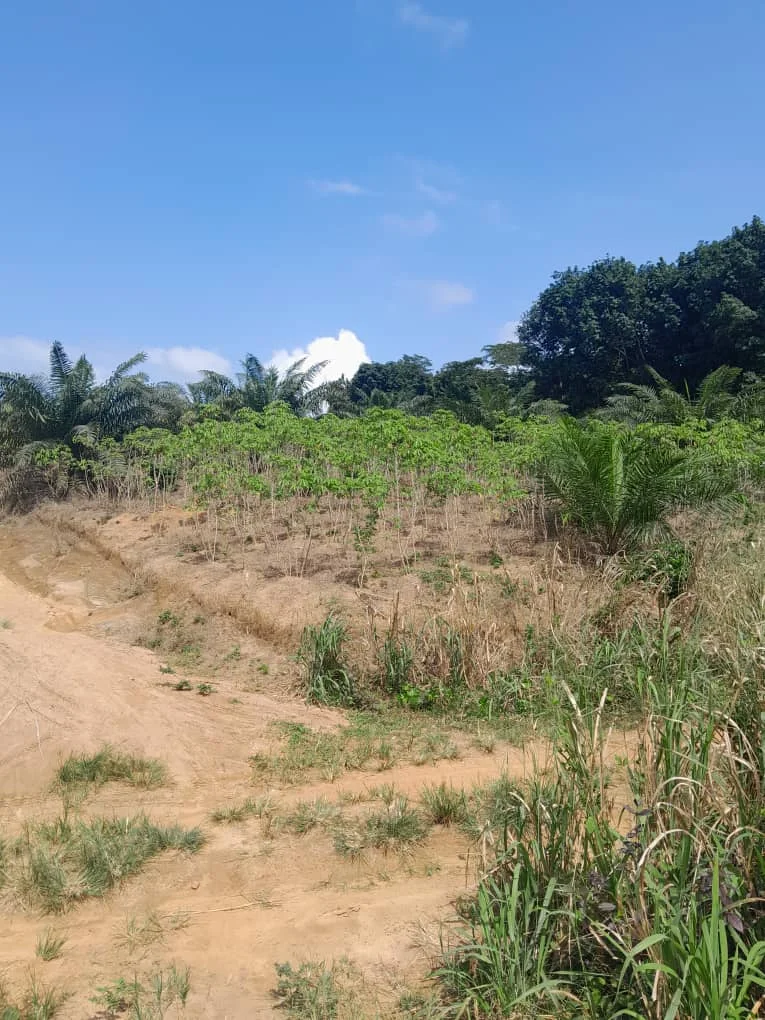 terrain3